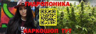 амф Обнинск