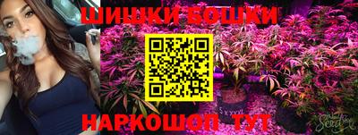 индика Нягань