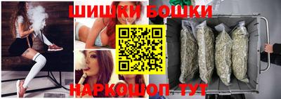 индика Нягань