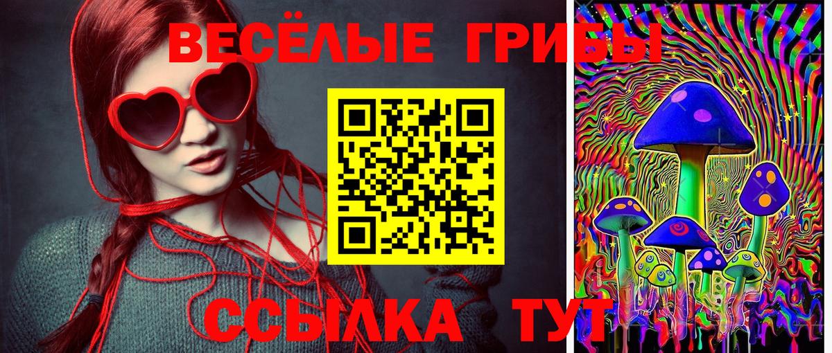 Галлюциногенные грибы прущие грибы Сегежа
